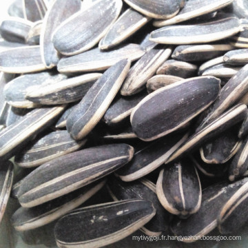 Vente chaude de graines de tournesol biologiques de haute qualité en coque